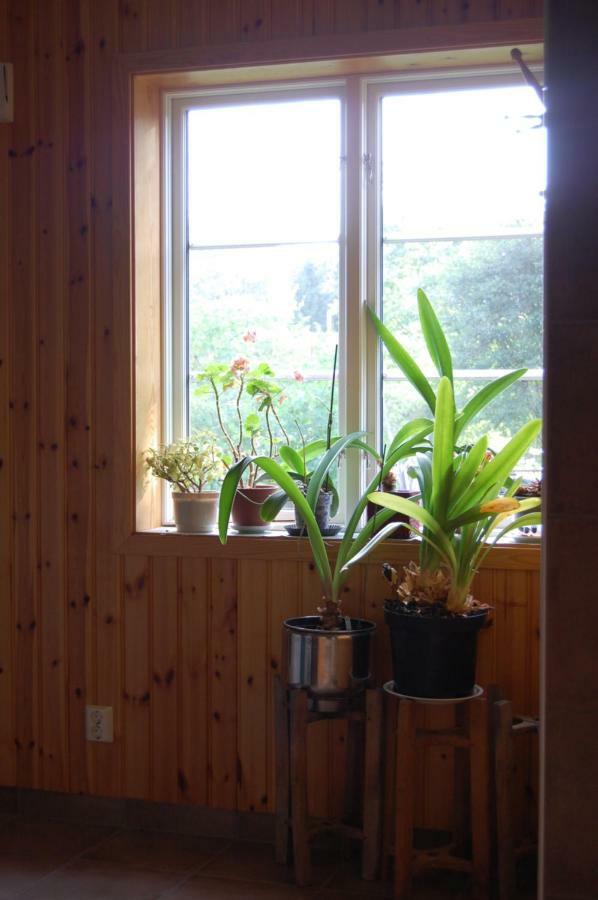 Flaehult Ullared Apartment Exterior photo